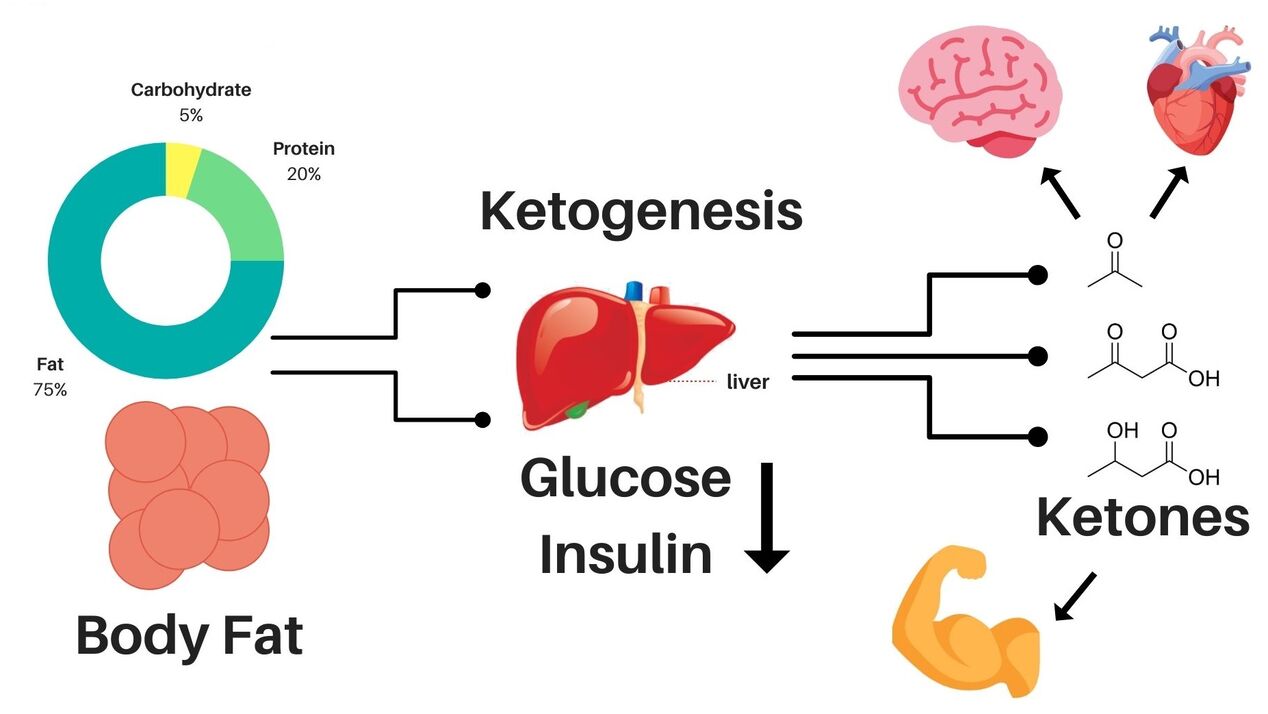 Delislim allows you to lose weight and provide energy